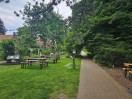 Leiden Botanical Garden. Part 2